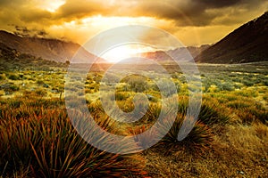 Sun rising behind grass field in open country of new zealand sce photo