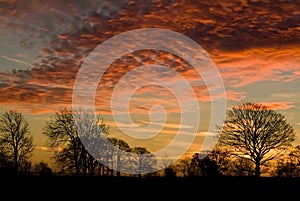 Sun rising at dawn creating a colurful red and golden sky over a group of trees in Winter.