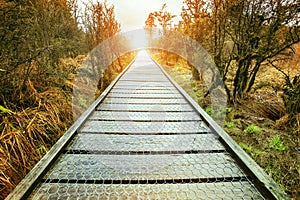 Sun rising end of perspective wood walking path in natural wild