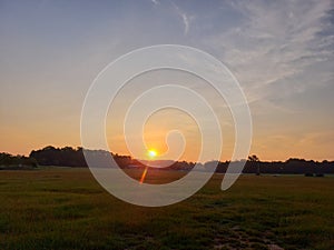 Sun rising over a grassy field