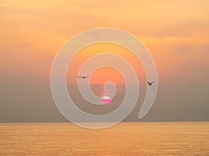 Sun is rising over horizon line with sea view and colorful sky