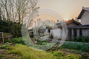 Sun rising up from roof of farmhouse