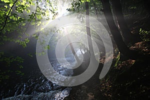 The sun`s rays illuminate the dark gorge photo