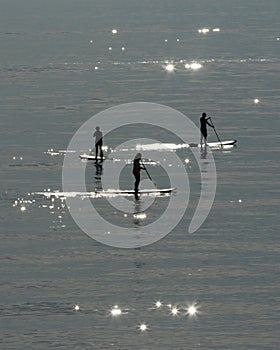 Sun Seekers at Oval Beach photo