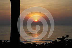 Sun set at beach with tree stem silhouette