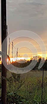 Sun set forest power pole