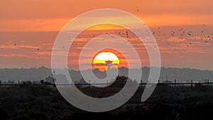 Sun set at the salt evaporation ponds at the flamingo watch reserve in Olhao, Ria Formosa Natural park, Portugal