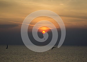 SUN SETS BEHIND CLOUD AND SEAGULLS