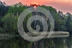 The sun sets behind trees on the shore of the lake