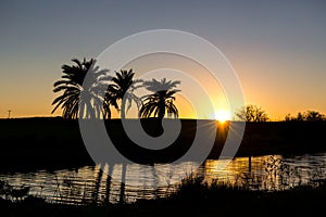 The sun is setting behind a hill with palmtrees and a river