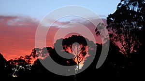 the sun is setting behind some trees in the distance, with a pink sky in the background and a few clouds in the foreground