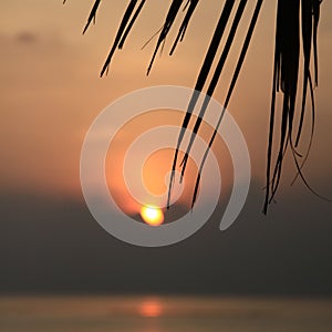 Sun Setting Behind Tropical Clouds Formation with Palm Tree over
