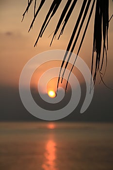 Sun Setting Behind Tropical Clouds Formation with Palm Tree over