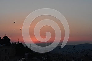 Sun setting with brids in rural area near Nablus