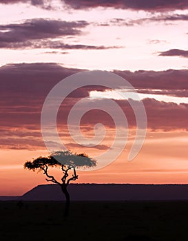 Sun setting in masai mara