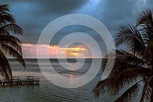 Sun Setting on the Ocean with Palm Trees