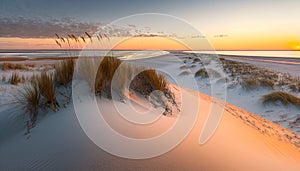 the sun is setting over a beach with sand dunes and sea oats in the foreground and the ocean in the distance, with a few clouds