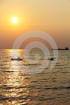 Sun setting over kayakers