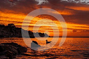 Sun setting over ocean beach with rocks in water