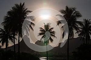 Sun setting over palm trees near Lagoa and Dois Irmaos in Rio de Janeiro