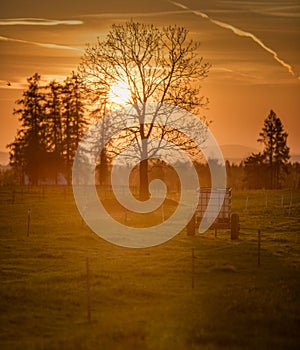 View of farms in the countryside during sunset. A small water tanker on a corn field or pasture.