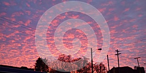 Sun setting pinkskies