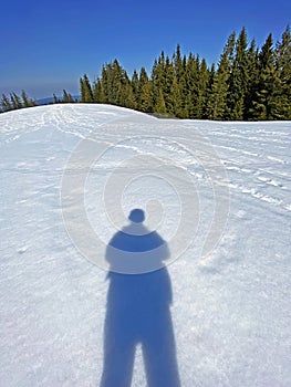 Sun shadow of hiker on the frish spring alpine snow, Einsiedeln - Canton of Schwyz, Switzerland Schweiz