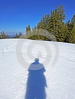 Sun shadow of hiker on the frish spring alpine snow, Einsiedeln - Canton of Schwyz, Switzerland Schweiz