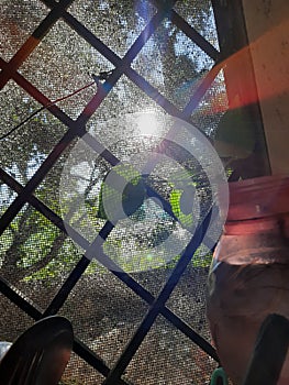 Sun shine coming from the window of kitchen, image portraying some utensils and plant