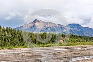 The Sun Shines down on the Forest and Mountains High Above a Gravel Flat