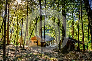 Sun shines through tall trees surrounding a small cabin in the forest next to the Rogue River in Oregon