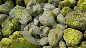 Sun shines to small gravel stones at Limni beach in Corfu, Greece - sea is crystal clear here - rocks in the photo are under