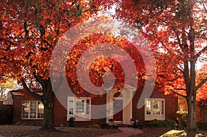 Sun shining through brilliant red leaves shading a beautiful traditional brick house with Christmas decorations all ready up photo