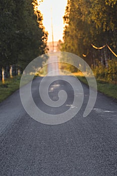 Sun Shining at the End of the Road with Birch Alley Besides it - Sunny Summer Day, Golden Hour, Partly Blurred