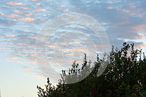 The sun shining on fluffy clouds during a sunset