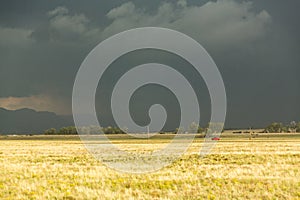 Sun shining on grassland under storym and rain