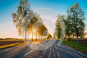 Sun Shining Through Woods Over Asphalt Country Open Road In Sunn