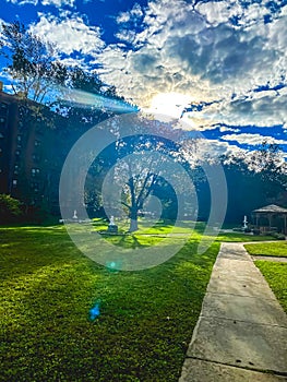 Sun shinning on a grass field with trees in background.