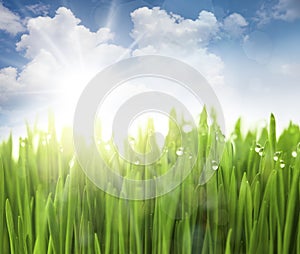 Sun, Sky and Grass with drops