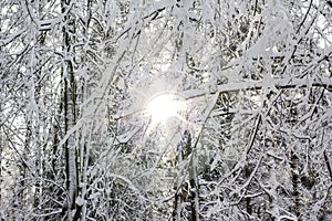 Il sole un la neve 