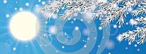 Blue Sky Frozen Twigs Sun Glitter Deco Header