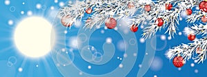 Blue Sky Frozen Twigs Sun Glitter Deco Red Baubles Header