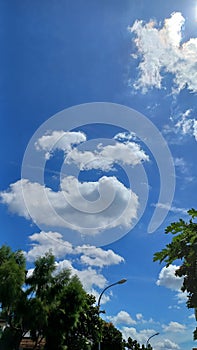 Sun, sunny day, beautiful blue sky, white clouds, garden, tree