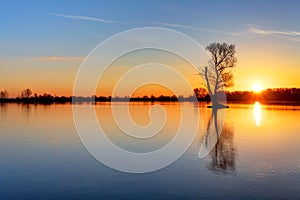 Sun and tree in lake