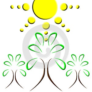 Sun tree logo