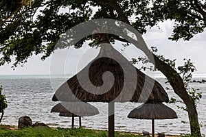 Sun umbrella and beach beds on tropical coastline, in Mauritius