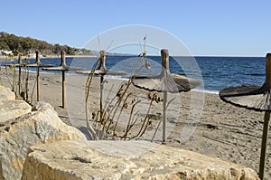 Sun umbrellas at beach