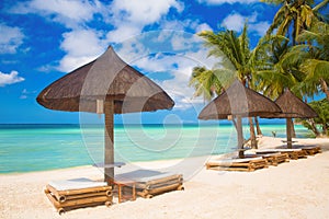 Sun umbrellas and beach beds under the palm trees on tropical beach