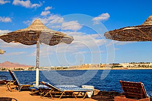 Sun umbrellas and chaise lounges on tropical beach. Concept of rest, relaxation, holidays, resort