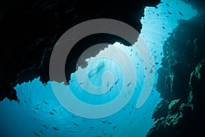 Sun, Underwater Grotto and Snorkeler